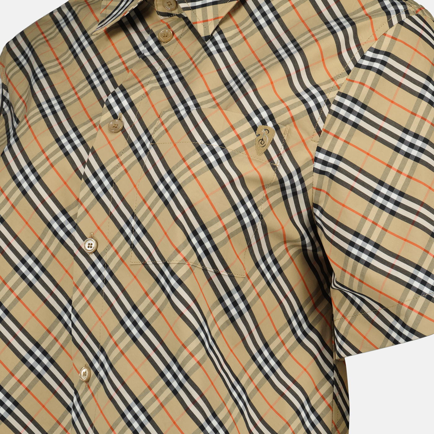Checked Shirt